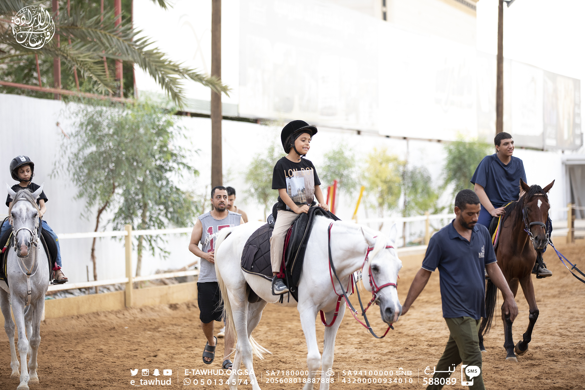 فرسان الإرادة